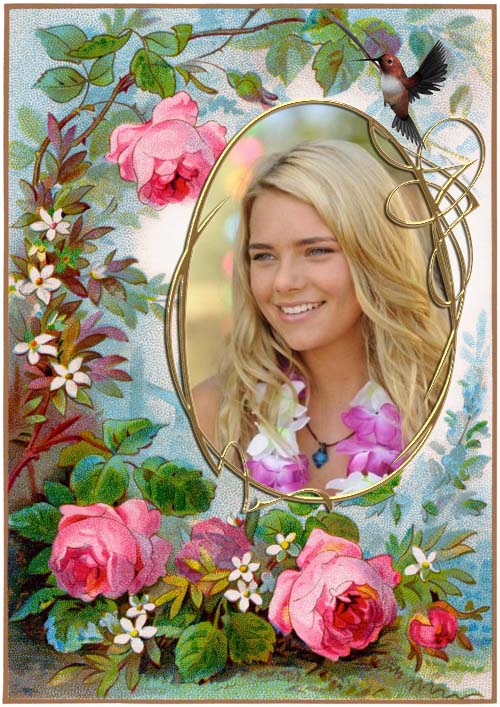 Vintage frame with roses and birds