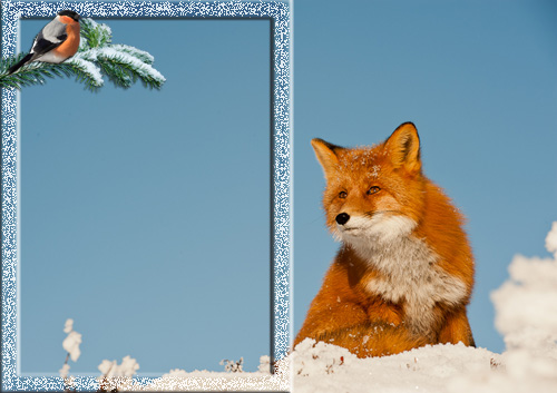 Frame for Photo - Winter-winter