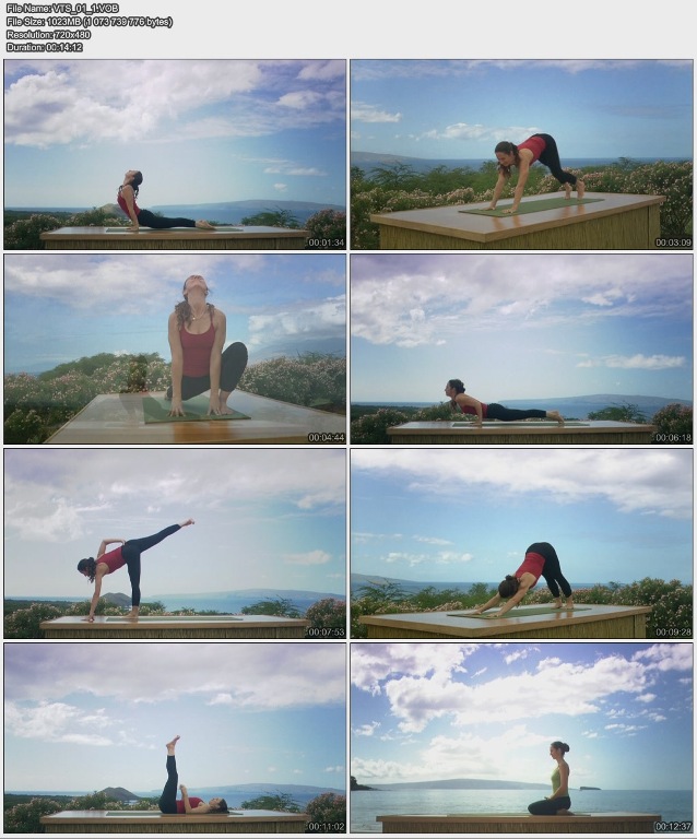 Nicki Doane - Maya Yoga Vinyasa Fusion - Core Strength Flow Series (2009)