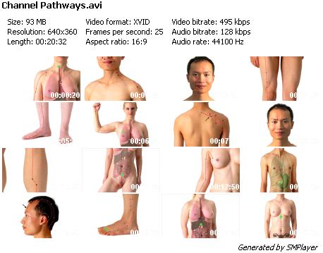 How to Locate Acupuncture Points – The Definitive