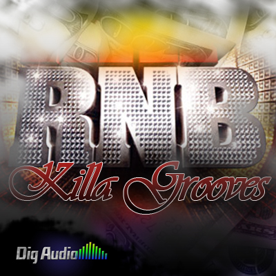 Digg Audio RnB Killa Grooves WAV REX AiFF