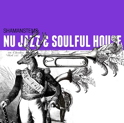 ShamanStems Nu-Jazz & Soulful House WAV