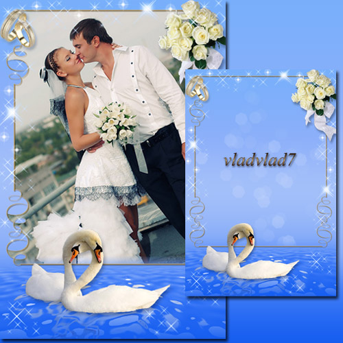 Wedding Photoframe with roses and swans
