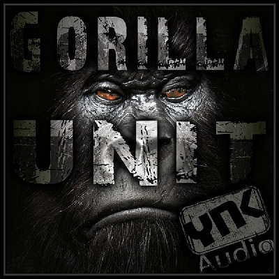 YnK Audio Gorilla Unit MULTiFORMAT