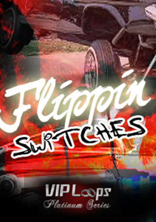 VIP Loops Flippin Switches MULTiFORMAT DVDR-DYNAMiCS