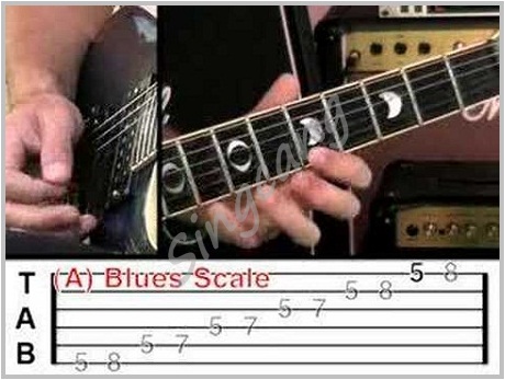 vGuitarLessons - 48 HIGH QUALITY GUITAR LESSONS 