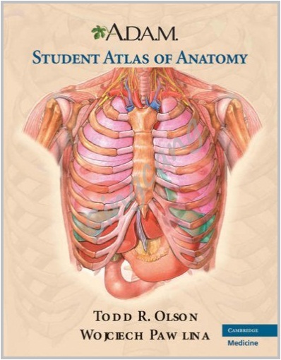 Adams Anatomy Atlas