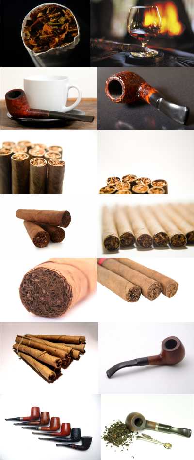 Cigars and Tube for smoking