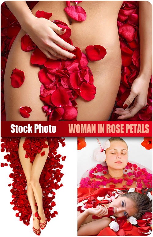 UHQ Stock Photo - Woman in rose petals