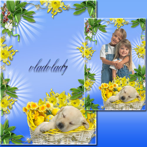 Photoframe with narcissuses - Happy Easter