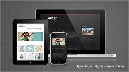 MOJOThemes Qualeb Responsive Premium WordPress Theme