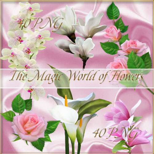 The Magic World of Flowers - Clipart PNG