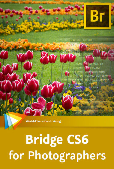 VIDEO2BRAIN BRIDGE CS6 FOR PHOTOGRAPHERS BOOKWARE ISO-LZ0