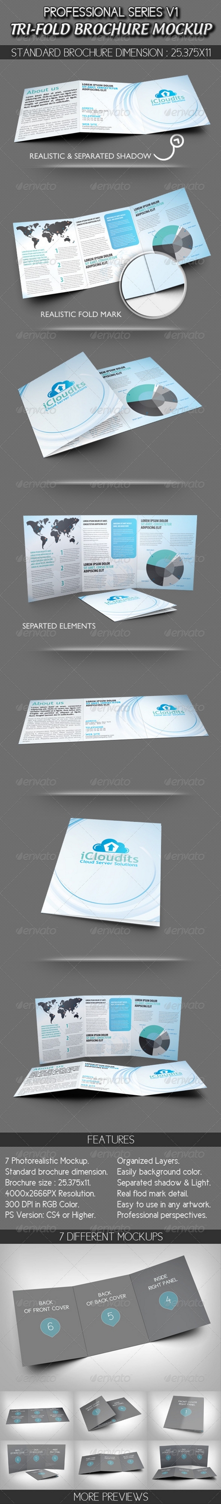 GraphicRiver: Professional Tri-fold Brochure Mockup V1