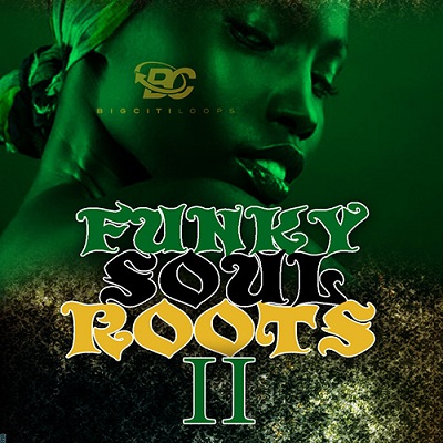 Big Citi Loops Funky Soul Roots 2 WAV/MIDI