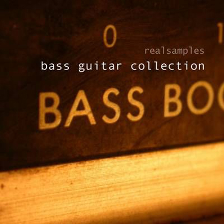 Realsamples Bass Guitar Collection MULTiFORMAT-DISCOVER