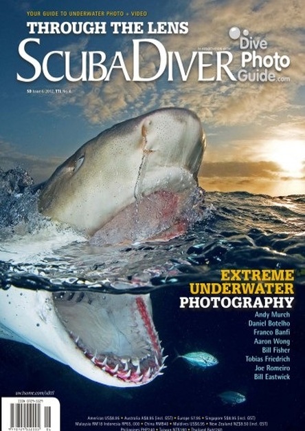 Scuba Diver - #6, 2012 (Singapore) 