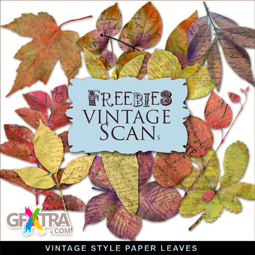 Scrap kit - Collection of Autumn Paper leaves