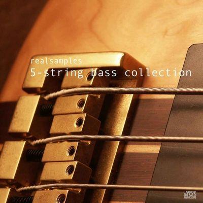 Realsamples 5 String Bass Collection MULTiFORMAT DVDR-DYNAMiCS