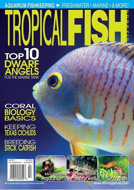 Tropical Fish Hobbyist Magazine April 2013