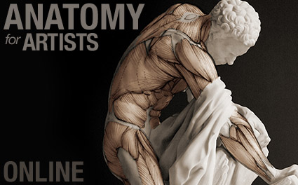 Scott-Eaton - Anatomy for Artists Online Course