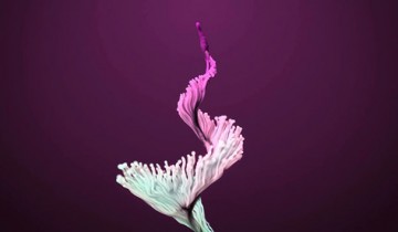 Create A Beautifully Organic Coral-Like Animation
