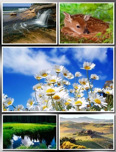 Beautiful Nature HD Wallpapers #10