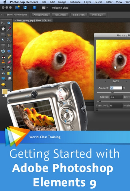 Video2Brain: Getting Started with Adobe Photoshop Elements 9