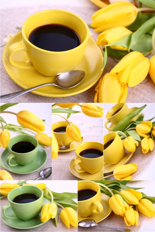 Stock Photos - Coffee and flower