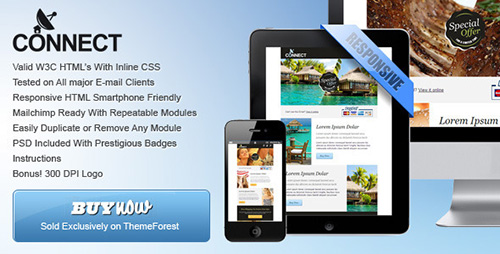ThemeForest - Connect - Professional Responsive Email Template - RIP