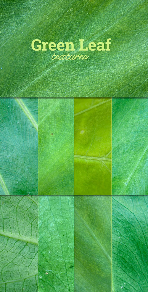 WeGraphics - Green Leaf Texture Set