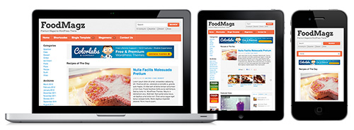 ColorlabsProject - Foodmagz v1.1.6 - Premium WordPress Theme