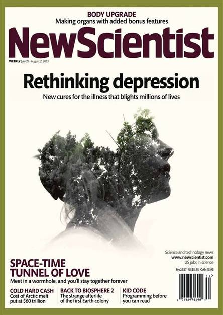 New Scientist - 27 July 2013