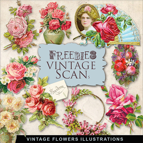 Scrap-kit - Vintage Flowers PNG Illustrations