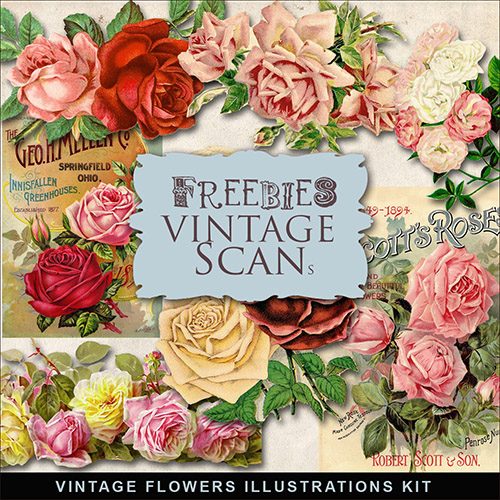 Scrap-kit - Vintage Flowers PNG Illustrations 2