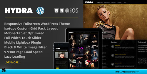 ThemeForest - Hydra v1.0.2 - Fullscreen Portfolio Grid WordPress Theme