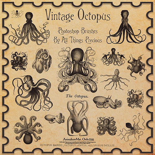ABR Brushes - Vintage Octopus