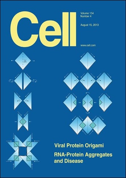 Cell - 15 August 2013(TRUE PDF)