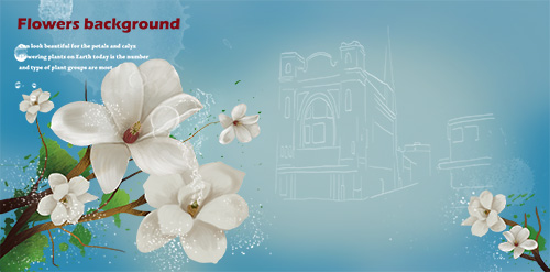 PSD Source - Flowers Background 2013