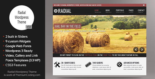 ThemeForest - Radial v1.0.8 - Creative Blog & Portfolio Wordpress Theme