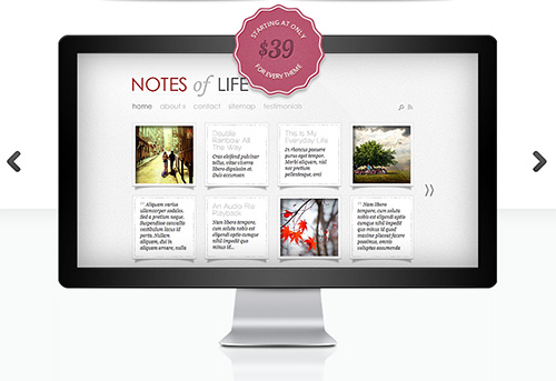 ElegantThemes - DailyNotes v5.4 - WordPress Theme