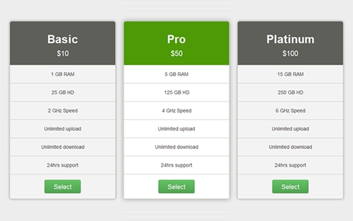 WrapBootstrap - Corporate Pricing Table