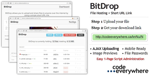 CodeCanyon - BitDrop v1.4 - File Hosting with Short URL Link