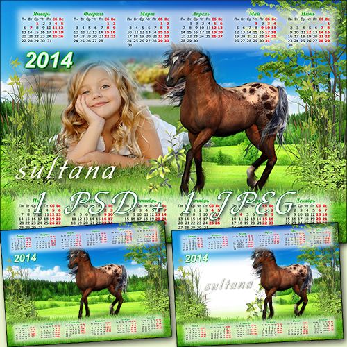 Calendar for 2014 - Beautiful horse on the meadow flying