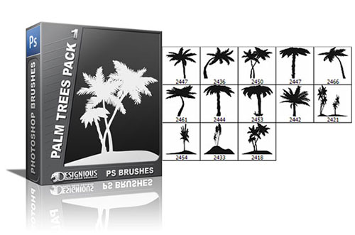 13 Palm Trees Photoshop Brushes Pack 1