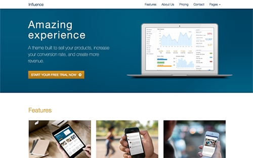 WrapBootstrap - Influence - Responsive Business Theme - RIP