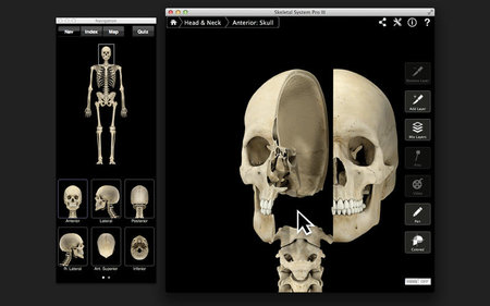 Skeletal System Pro III v3.0 Mac OS X
