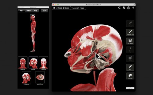 Muscle System Pro III 3.0 MacOSX