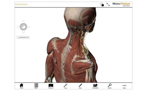 Visible Body Muscle Premium v3.1.3 MacOSX