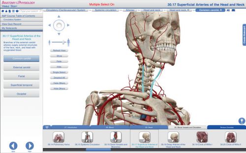 Visible Body Anatomy and Physiology v1.2.8 Mac OS X